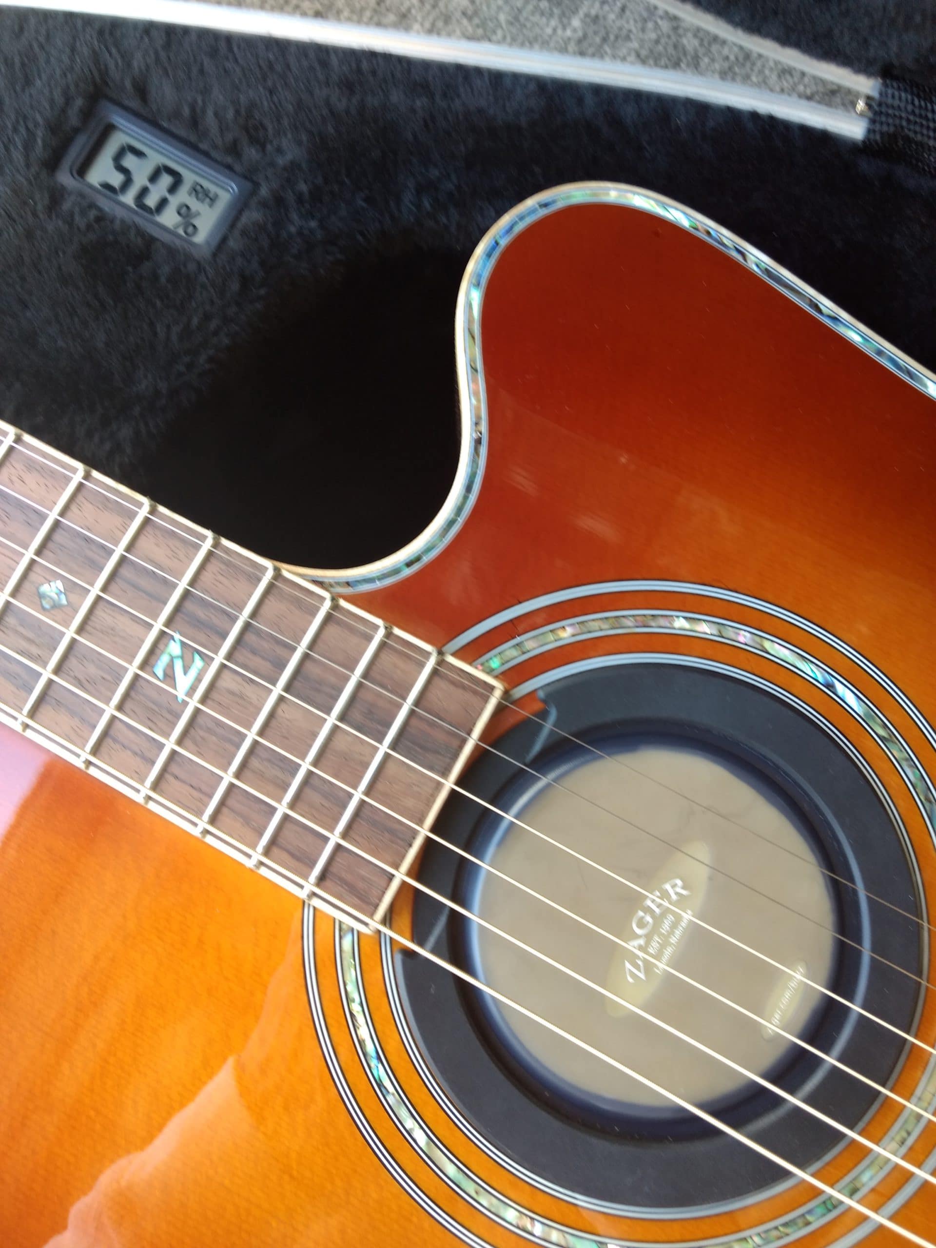 acoustic guitar humidifier