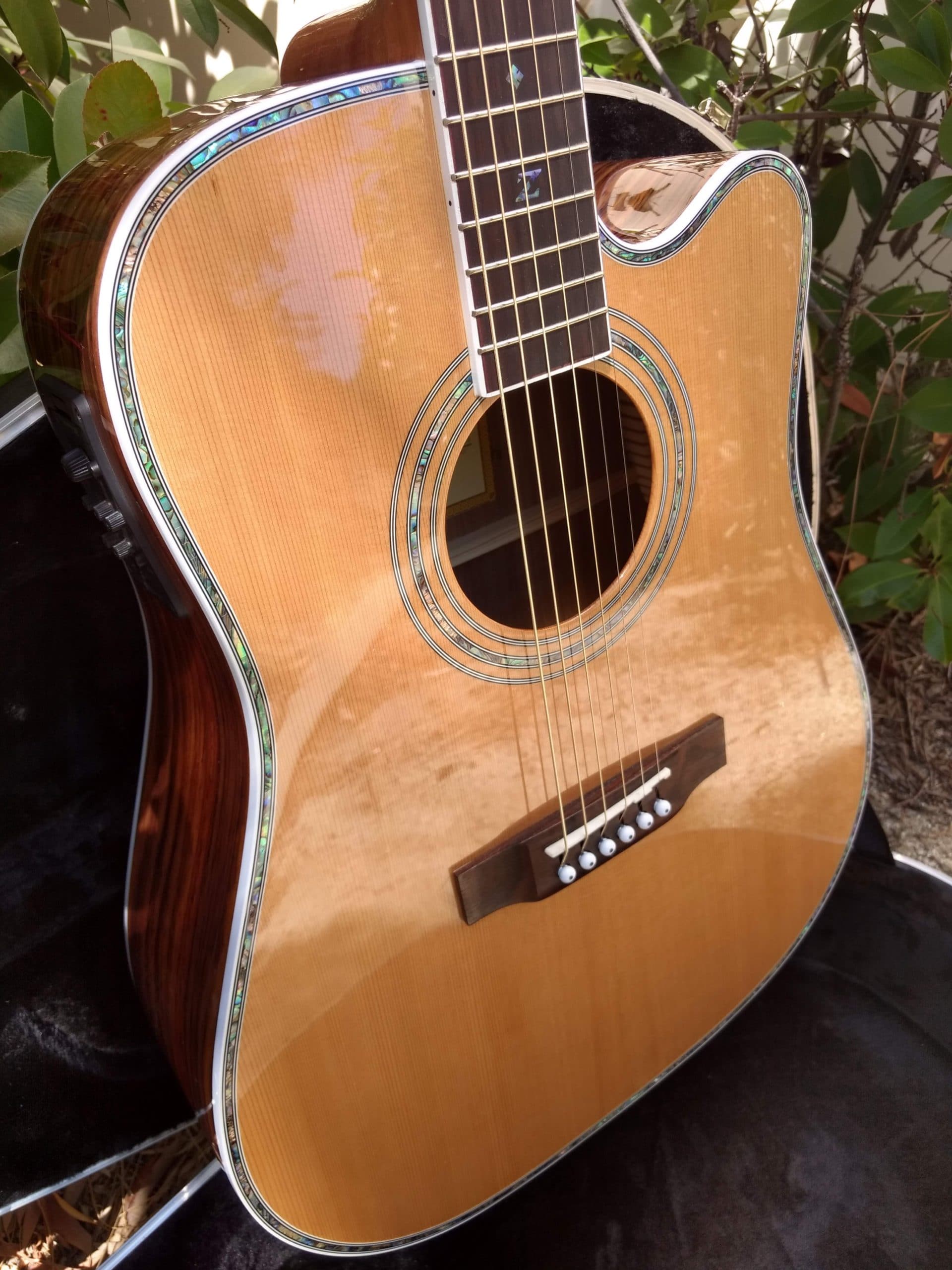 ZAD80CE Solid Cedar/Rosewood Acoustic Electric Pro Series - Vault