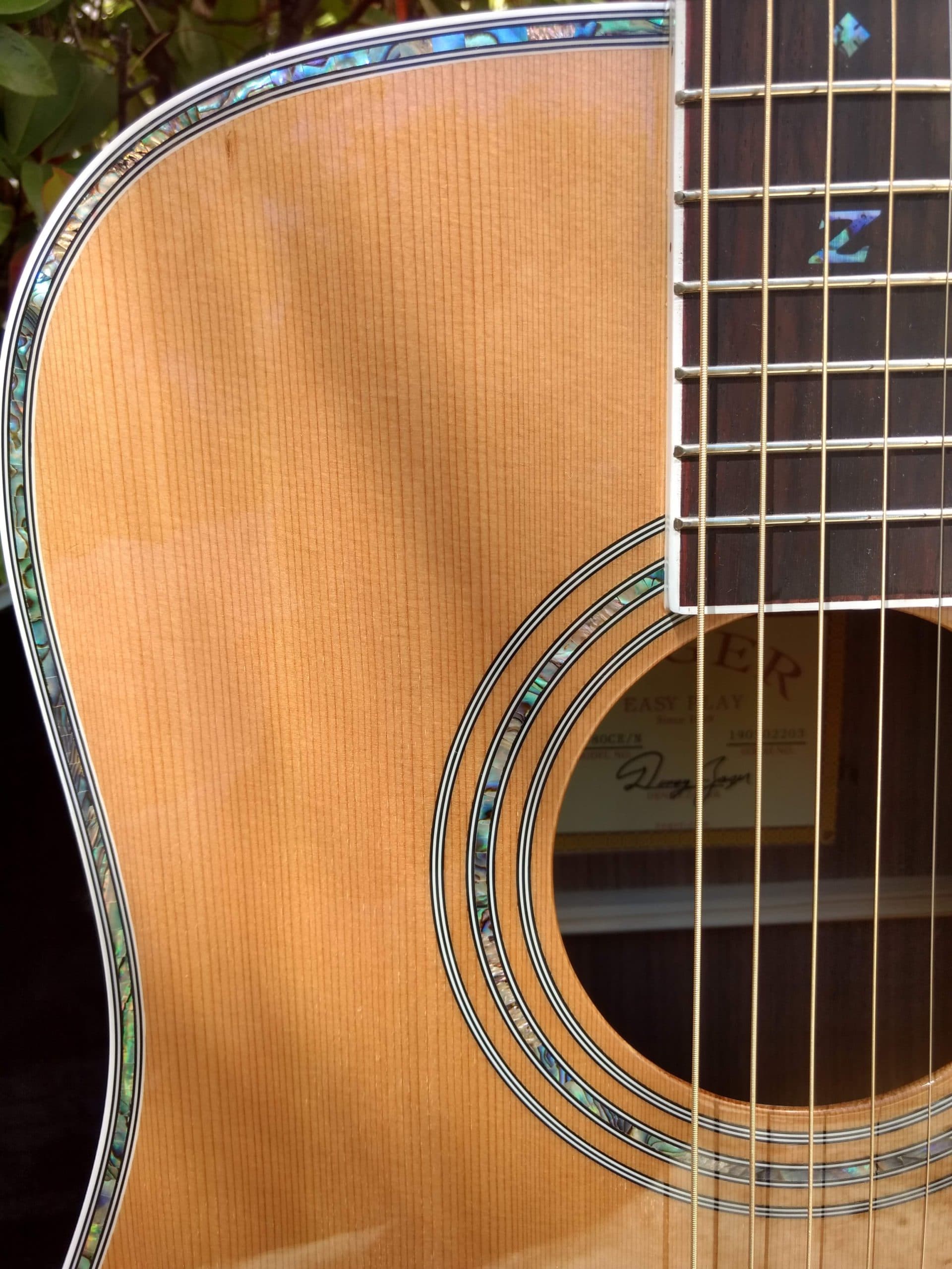 ZAD80CE Solid Cedar/Rosewood Acoustic Electric Pro Series - Vault
