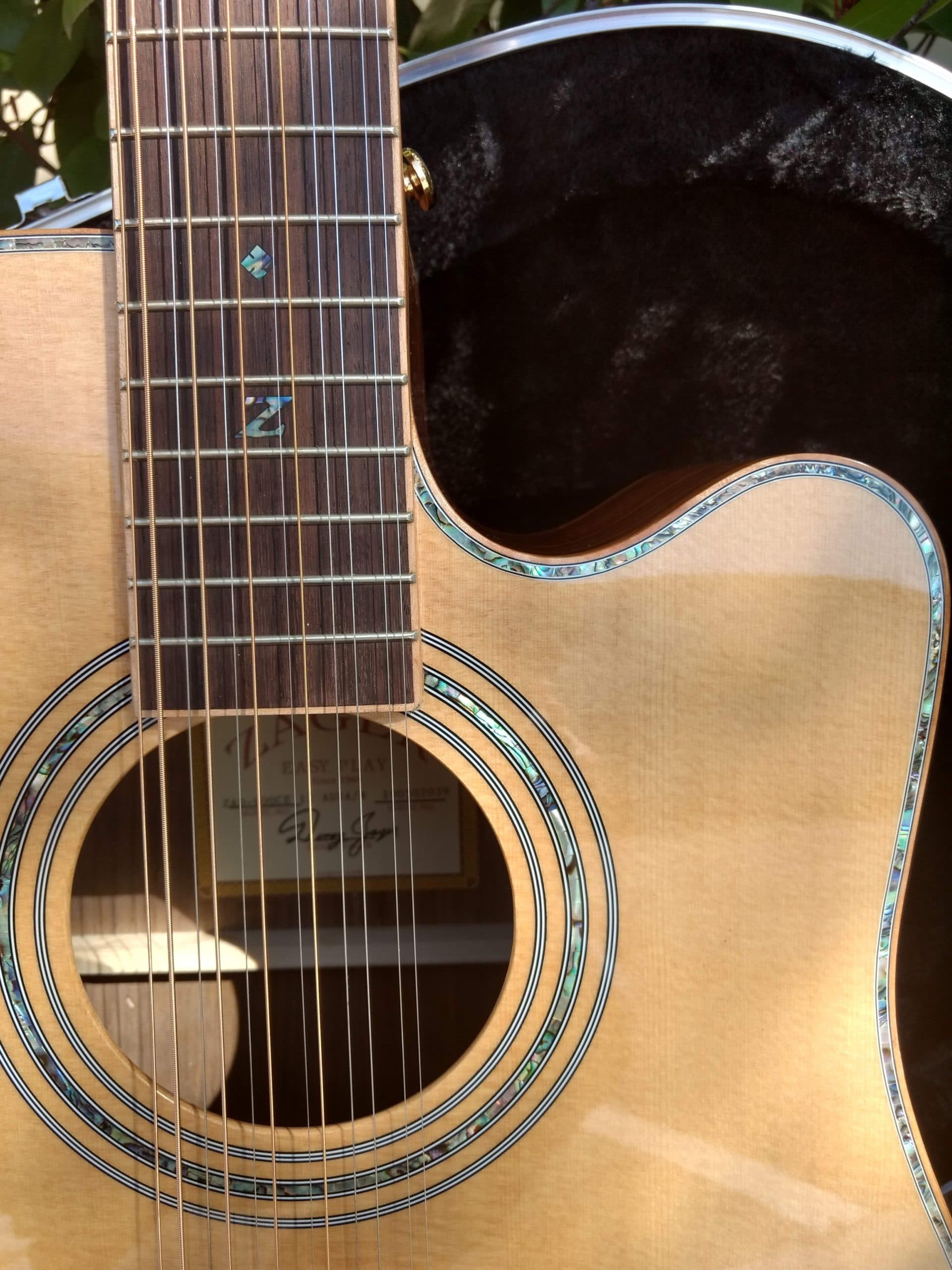 ZAD900CE 12 String Solid Spruce/Rosewood Acoustic Electric AURA Pro Series - Deal of the Day