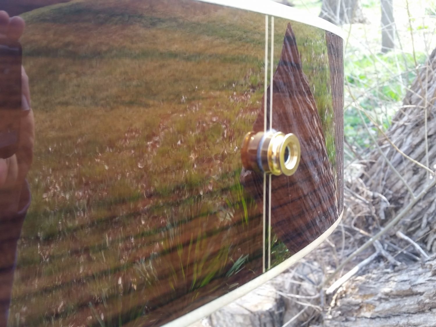 ZAD900CE Left Handed Solid Spruce/Rosewood Acoustic Electric AURA Smaller "OM" Size