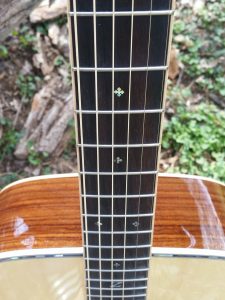 ZAD900 Solid Spruce/Rosewood Acoustic