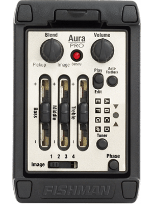 Genuine Fishman electronics