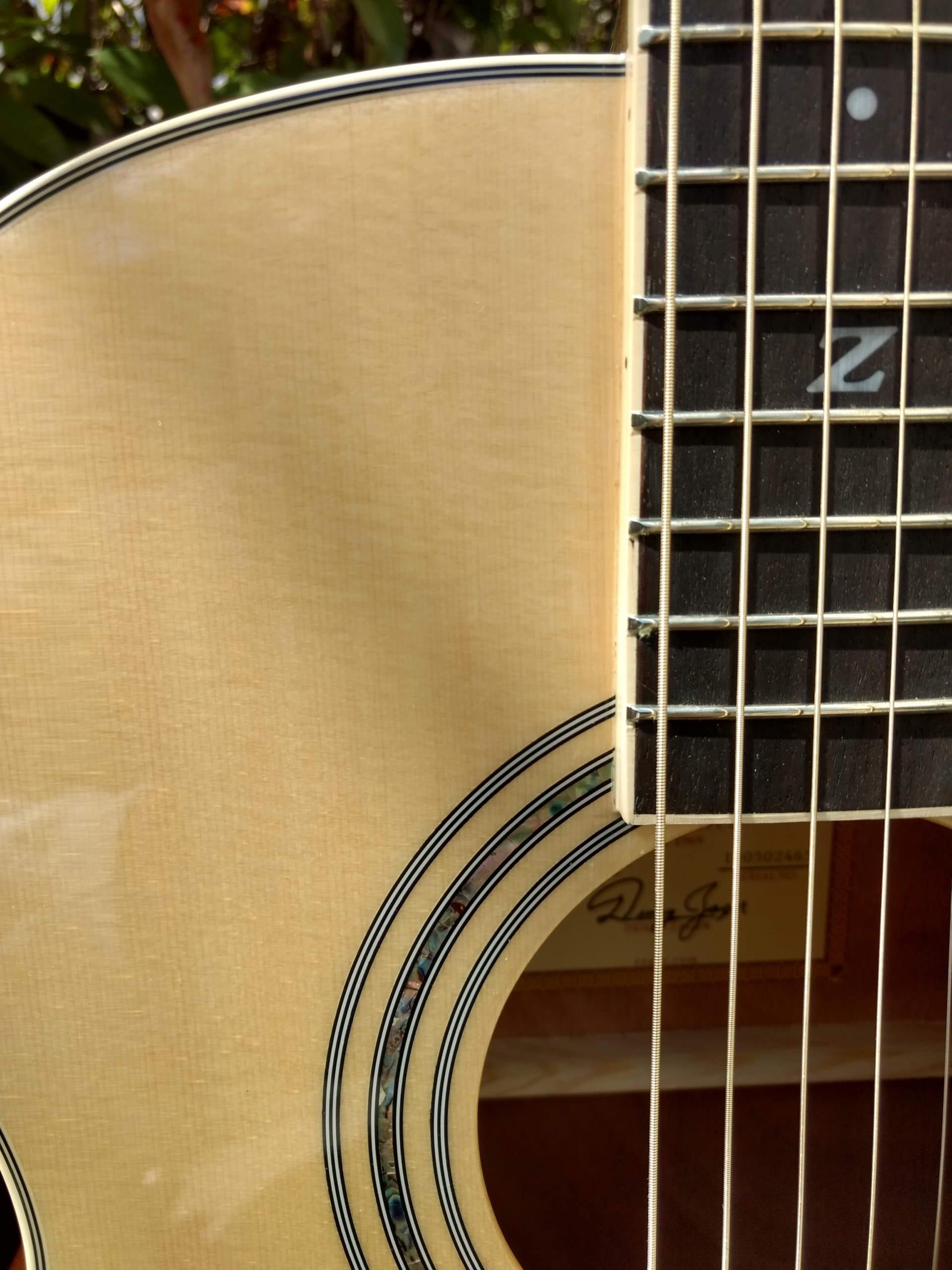 ZAD50CE Solid Spruce/Mahogany Acoustic Electric Smaller “OM” Size - Vault