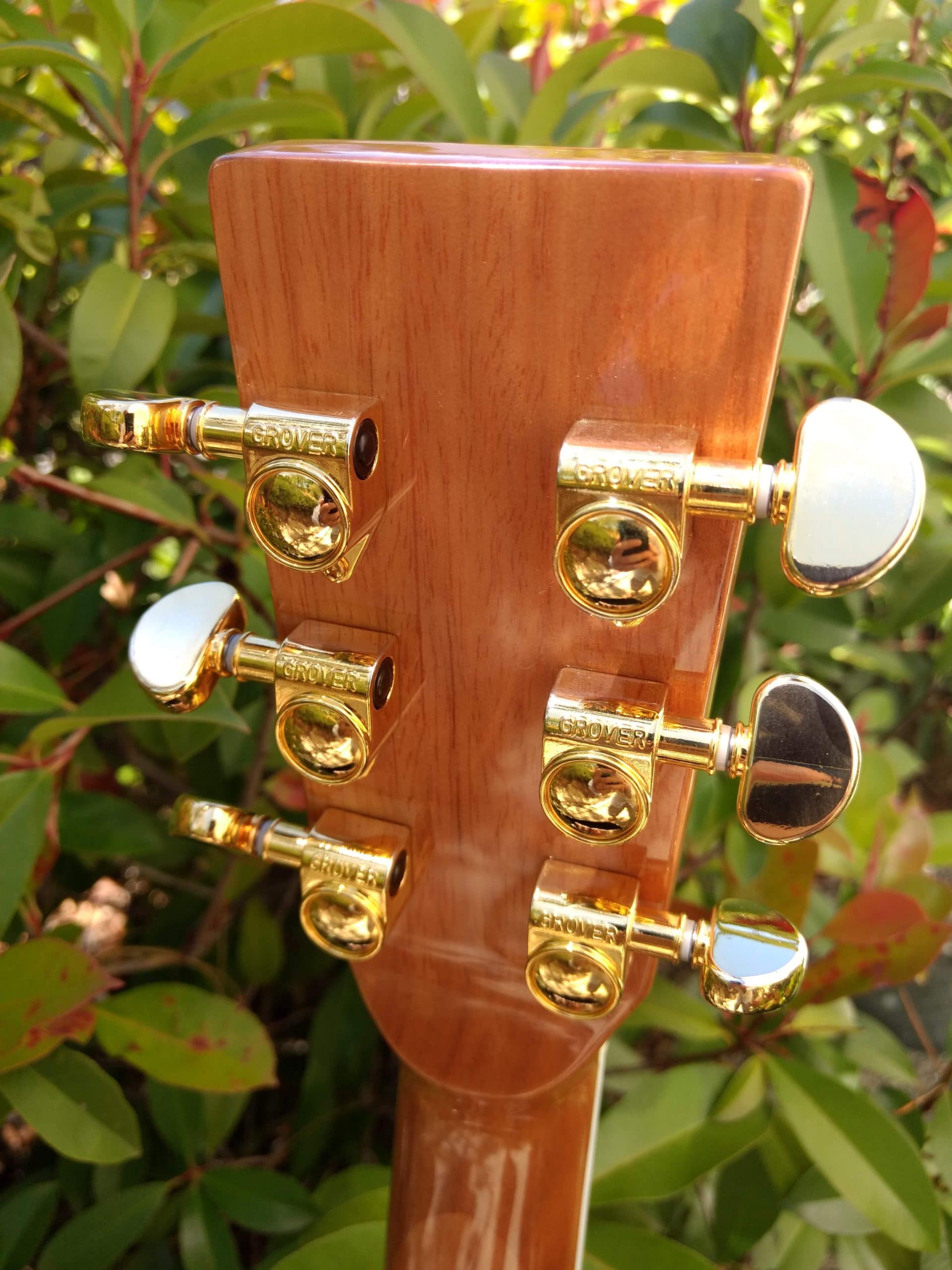 ZAD80CE Solid Cedar/Rosewood Acoustic Electric Pro Series - Vault