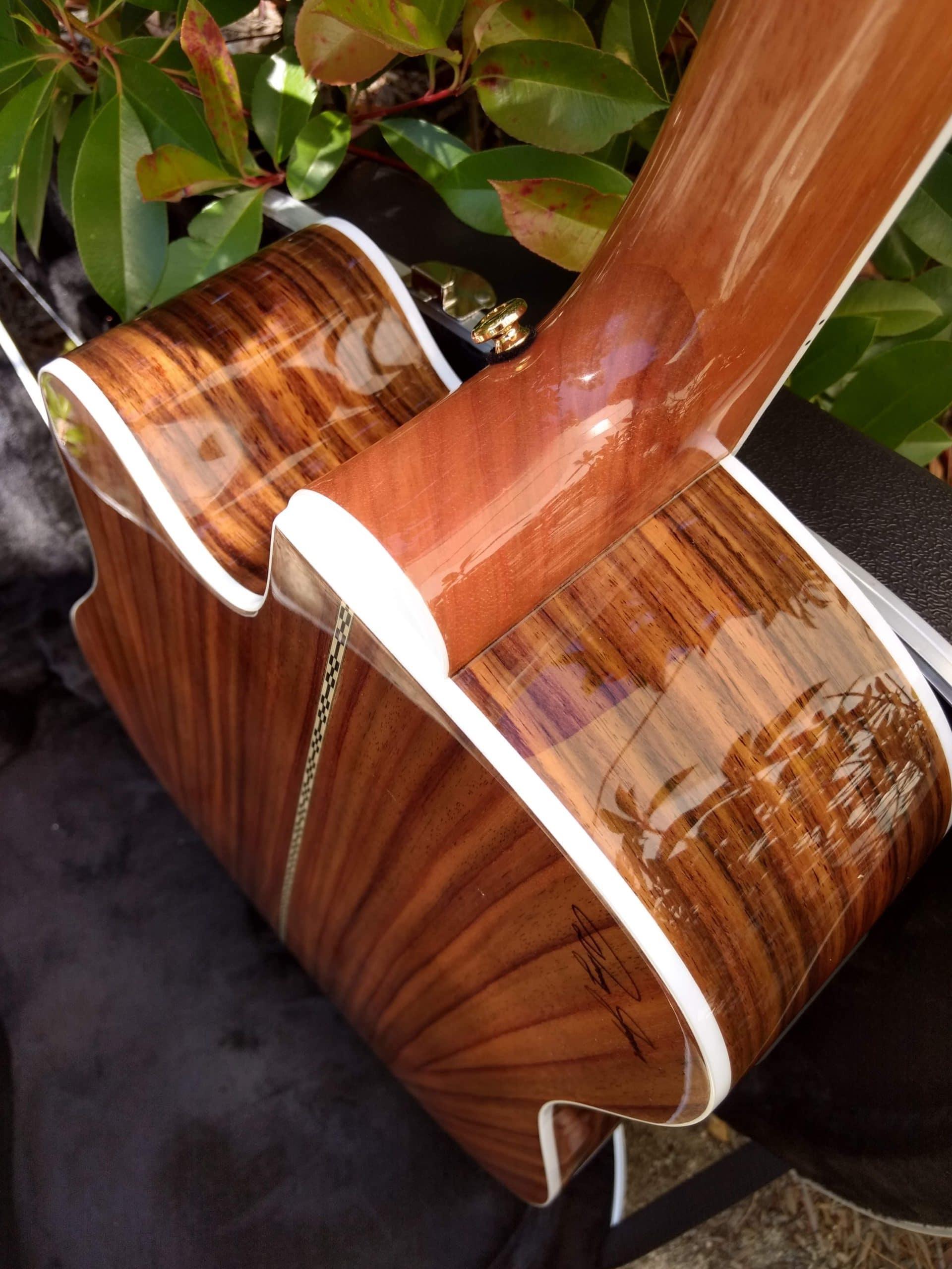 ZAD80CE Solid Cedar/Rosewood Acoustic Electric Pro Series - Vault