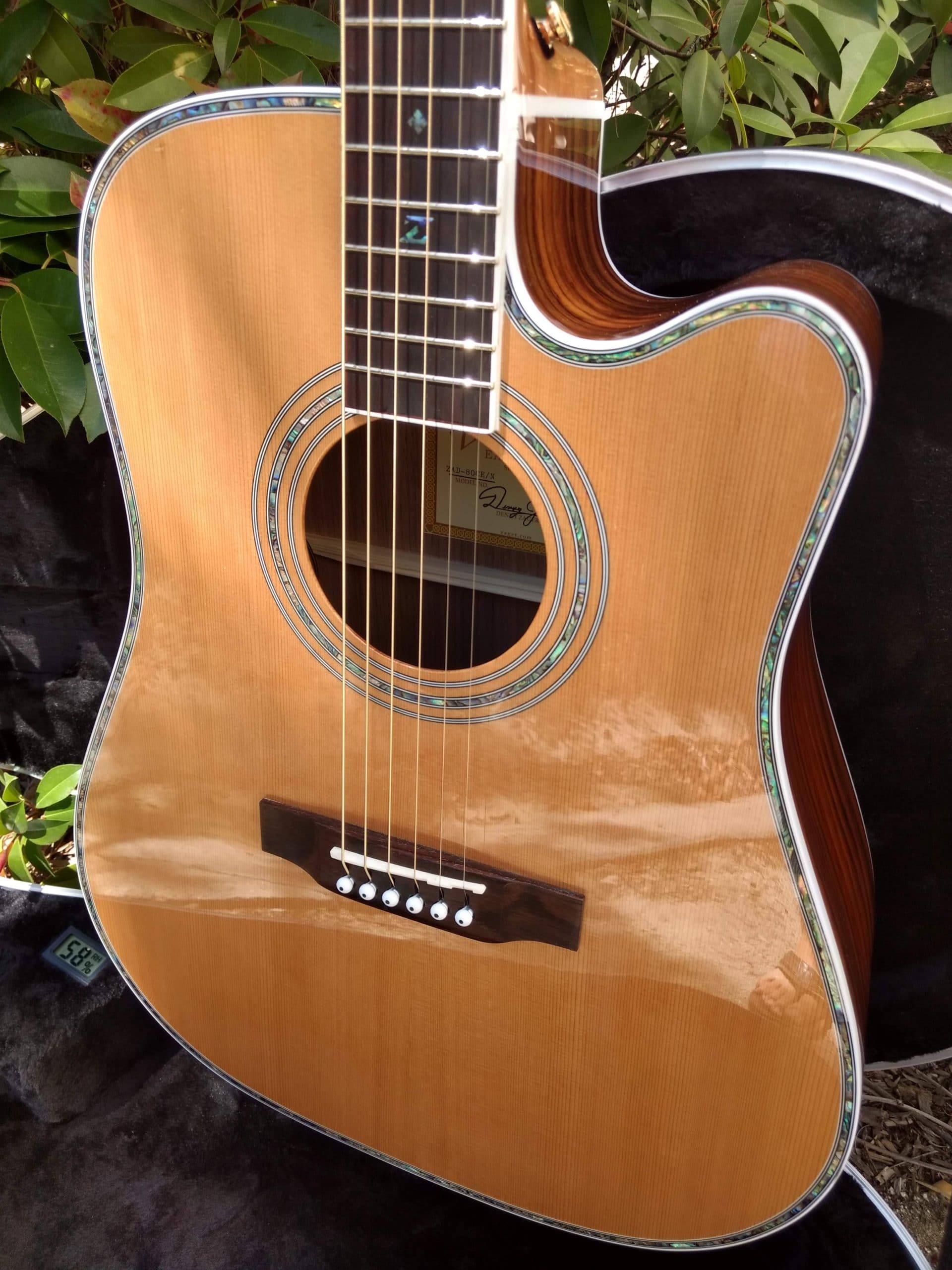 ZAD80CE Solid Cedar/Rosewood Acoustic Electric Pro Series - Vault
