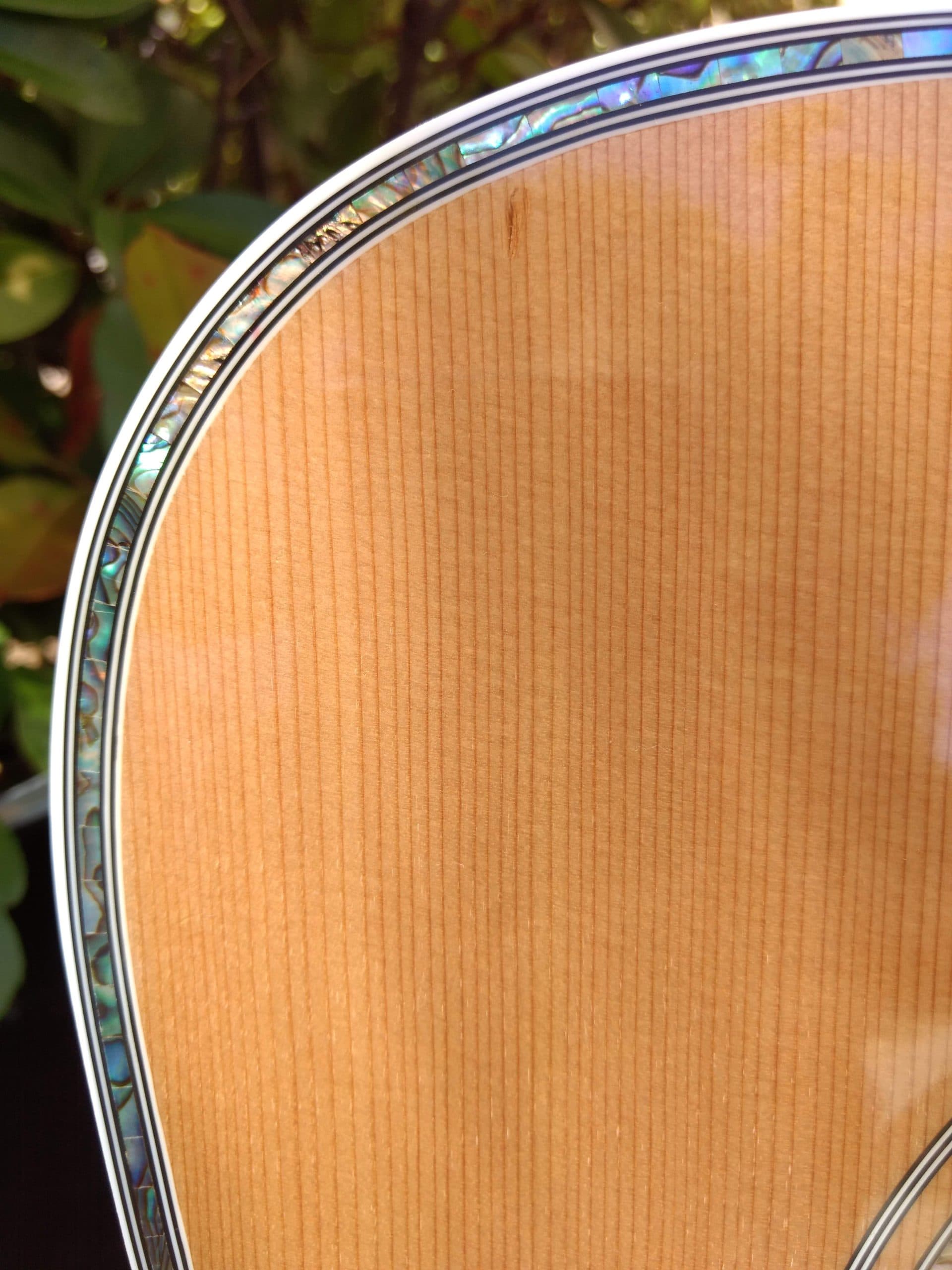 ZAD80CE Solid Cedar/Rosewood Acoustic Electric Pro Series - Vault