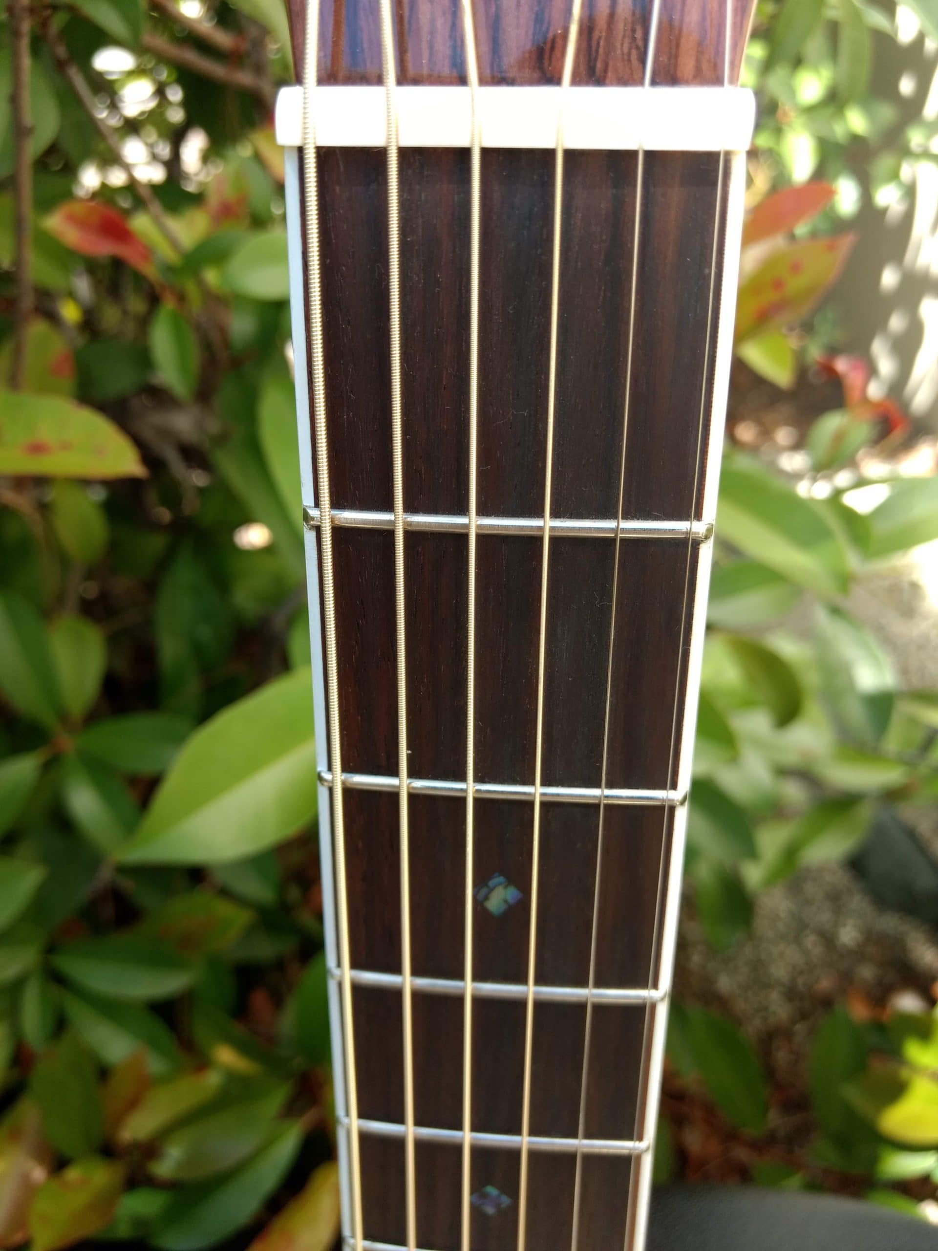 ZAD80CE Solid Cedar/Rosewood Acoustic Electric Pro Series - Vault