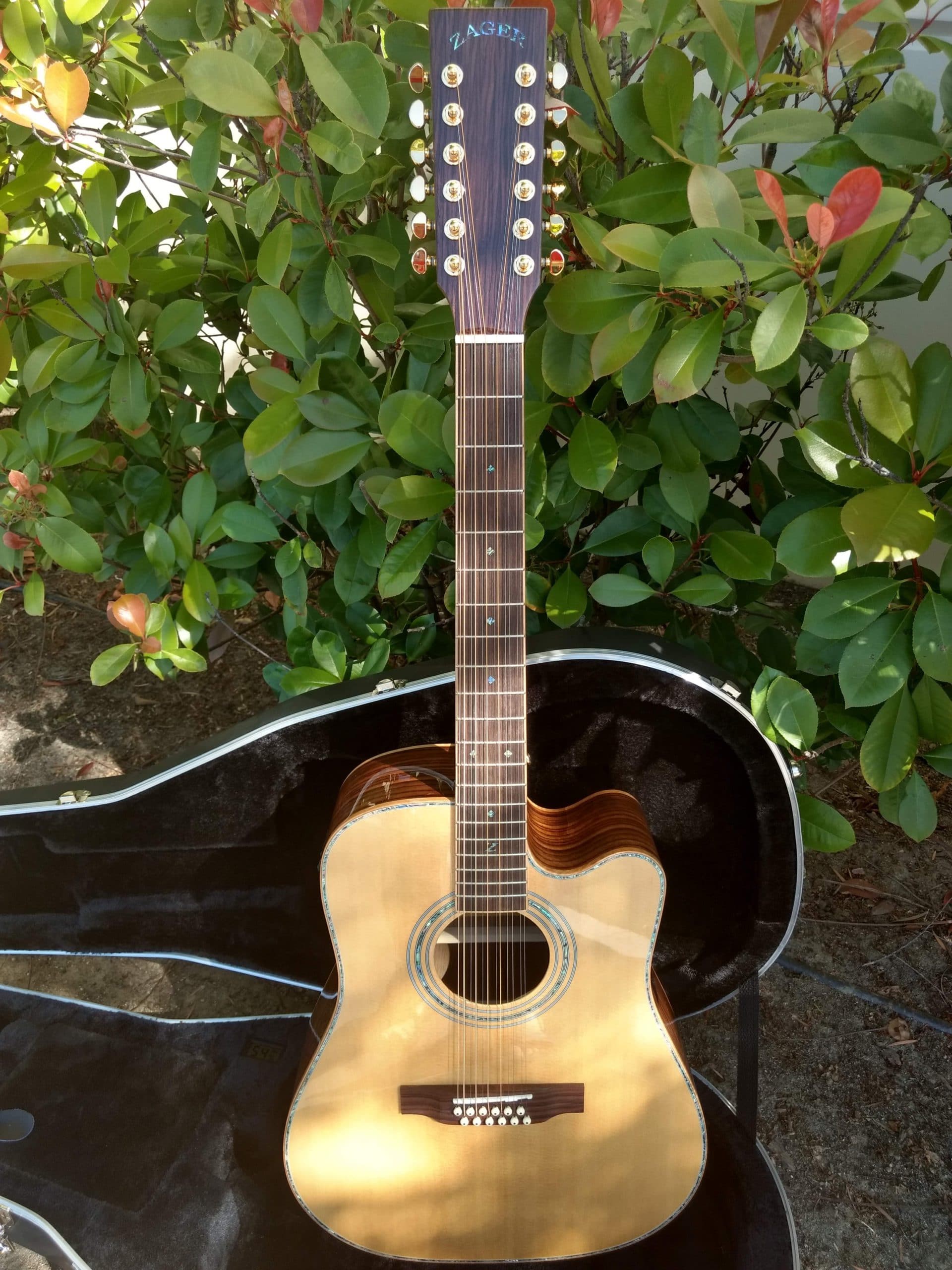 ZAD900CE 12 String Solid Spruce/Rosewood Acoustic Electric AURA Pro Series -  Deal of the Day