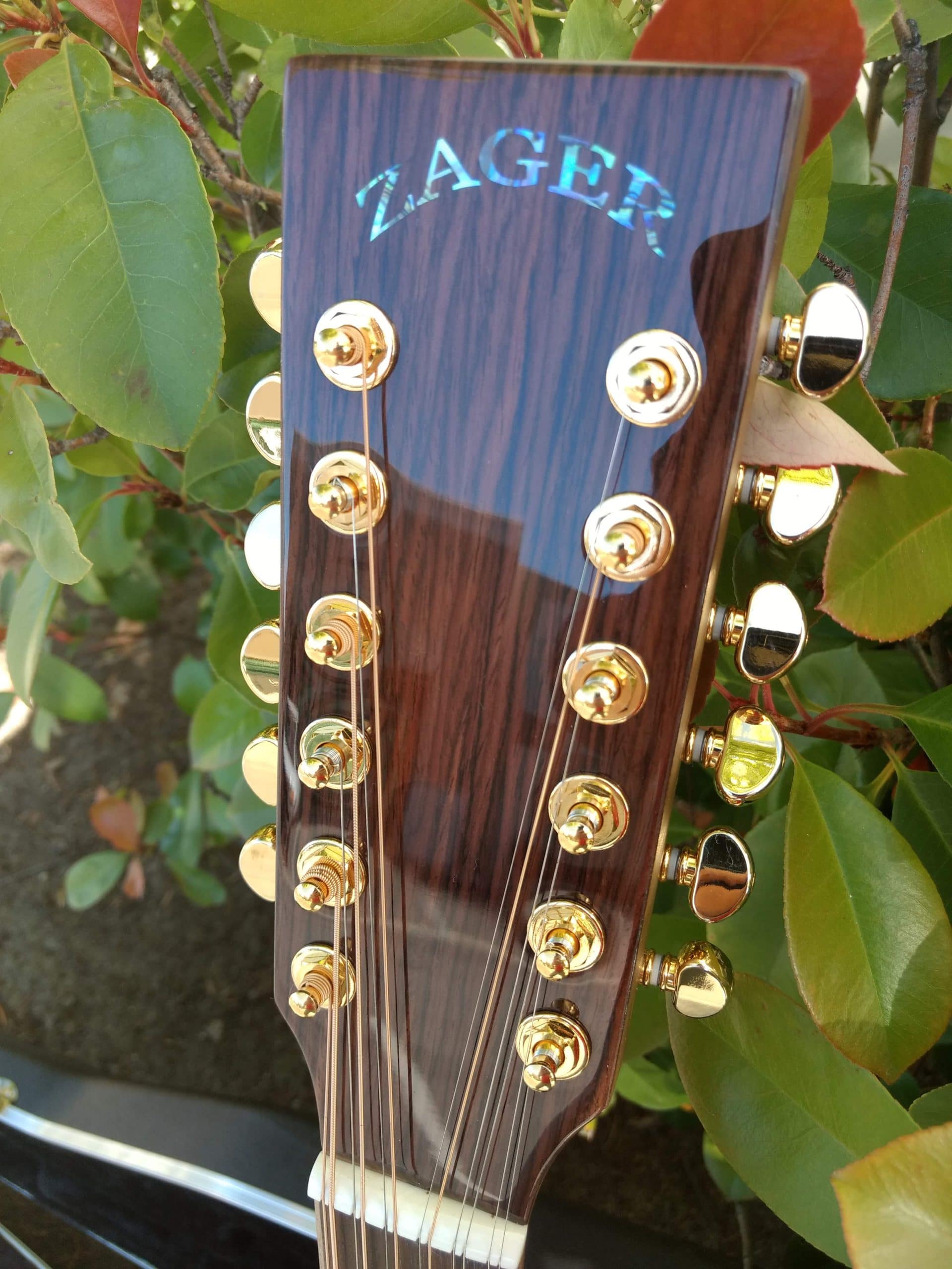 ZAD900CE 12 String Solid Spruce/Rosewood Acoustic Electric AURA Pro Series - Vault